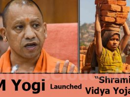 yogi