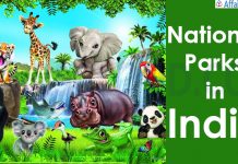 List of National Parks in India (state-wise ) for Exams – Updated on July 2020 National Parks in India