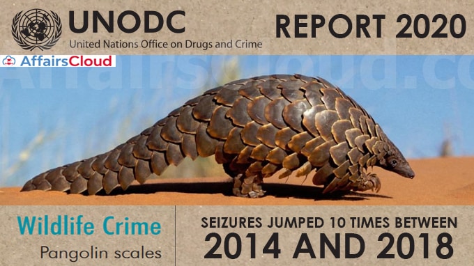 Pangolin-scale-seizures-jumped-10-times-between-2014-and-2018-UN’s-World-Wildlife-Crime-Report-2020