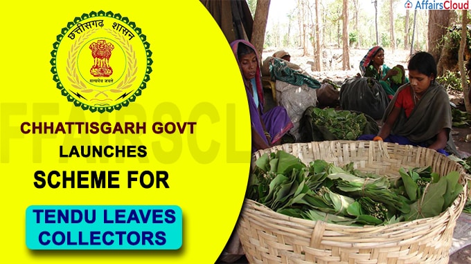 Chhattisgarh govt launches scheme for tendu leaves collectors