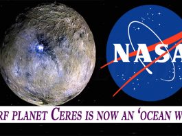 Dwarf planet Ceres is now an ocean world
