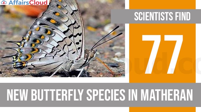 Scientists-find-77-new-butterfly-species-in-Matheran