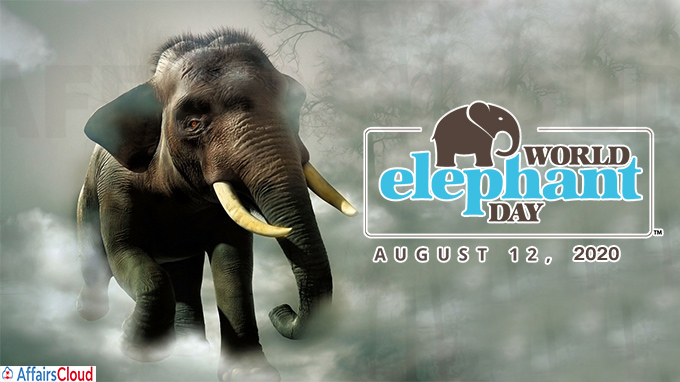 World Elephant Day 2020