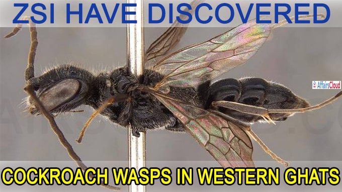 ZSI have discovered two new species of cockroach wasps in Western Ghats(Write Static GK)