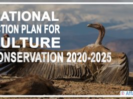 Action Plan for Vulture Conservation 2020-2025