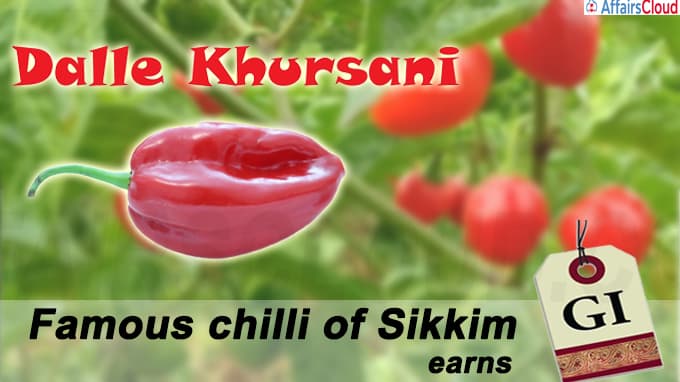Famous chilli of Sikkim “Dalle Khursani” earns GI tag