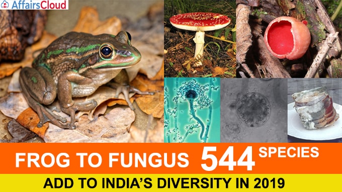 Frog to fungus, 544 species add to India’s diversity in 2019