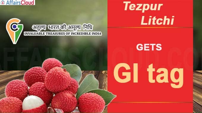 Assam Tezpur Litchi gets GI tag