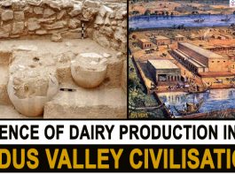 Evidence of dairy production in the Indus Valley Civilisation Indus Valley Civilisation