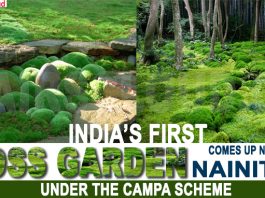 India's first moss garden