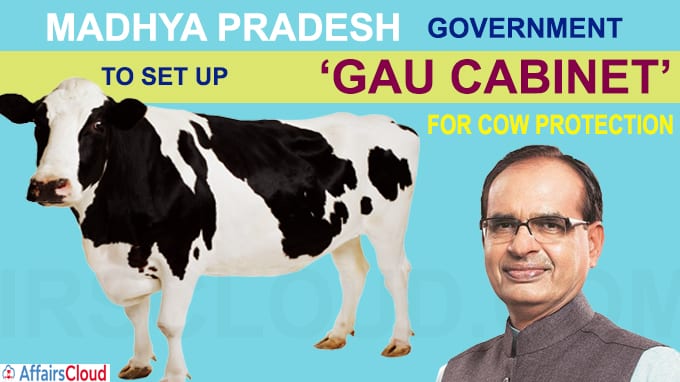 Madhya Pradesh govt to set up gau cabinet for cow protection