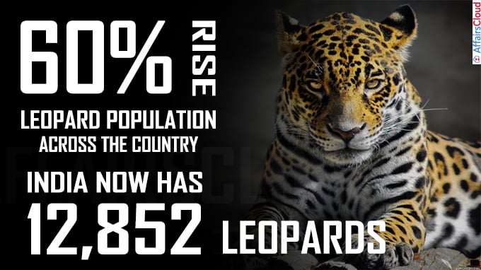60 percent rise in Leopard population across the Country_India now has 12,852 leopards