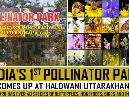 India's first pollinator park comes up at Haldwani