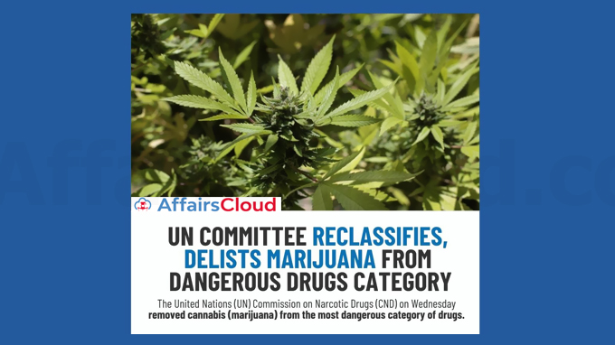 UN-removes-cannabis-from-‘most-dangerous-drug’-category