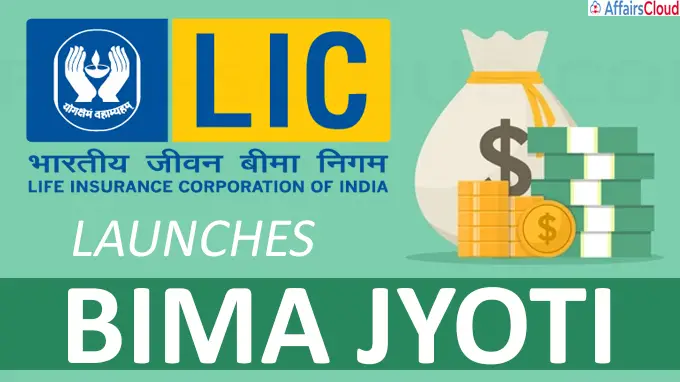 LIC stock: What does the future hold?