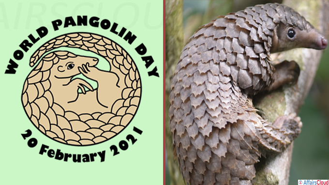 World Pangolin Day - February 20 2021