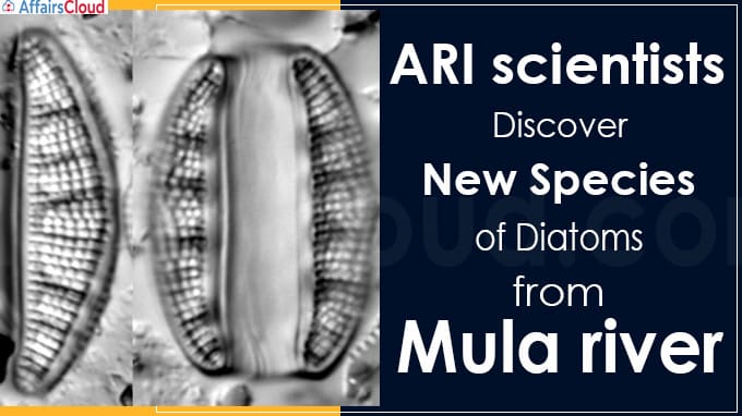 ARI scientists discover new species of diatoms