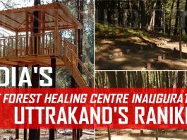 India's first forest healing centre inaugurated in Uttrakand's Ranikhet