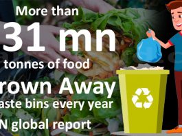 More than 931 mn tonnes of food thrown away in waste