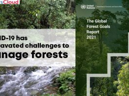 COVID-19-has-aggravated-challenges-to-manage-forests