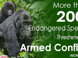 More than 200 endangered species threatened by armed conflict