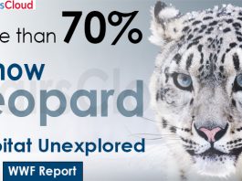 More than 70% snow leopard habitat unexplored