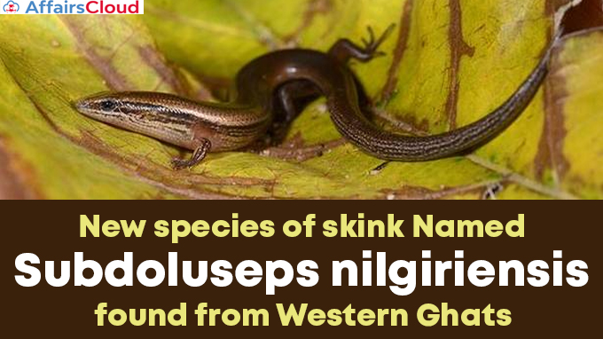 New-species-of-skink-Named-Subdoluseps-nilgiriensis--found-from-Western-Ghats