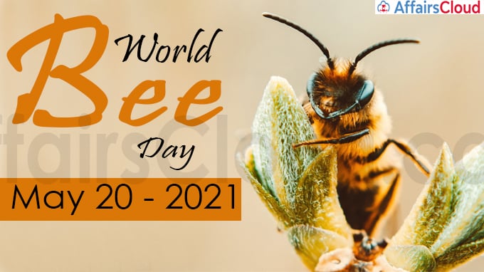 World Bee Day 21 May