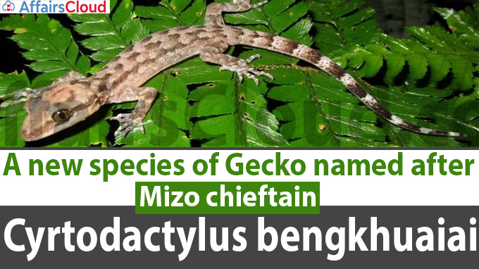 A new species of Gecko named after Mizo chieftain Cyrtodactylus bengkhuaiai