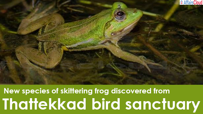 New species of skittering frog discovered from Thattekkad bird sanctuary