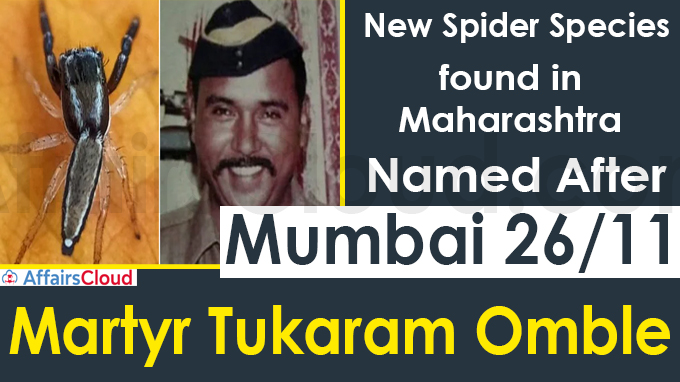 New spider species found in Maharashtra