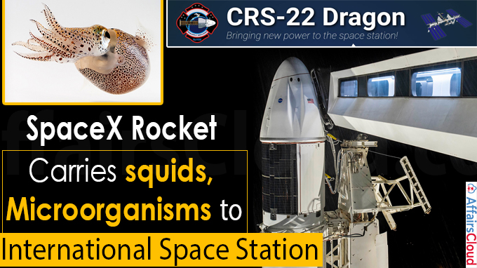 SpaceX rocket carries squids, microorganisms