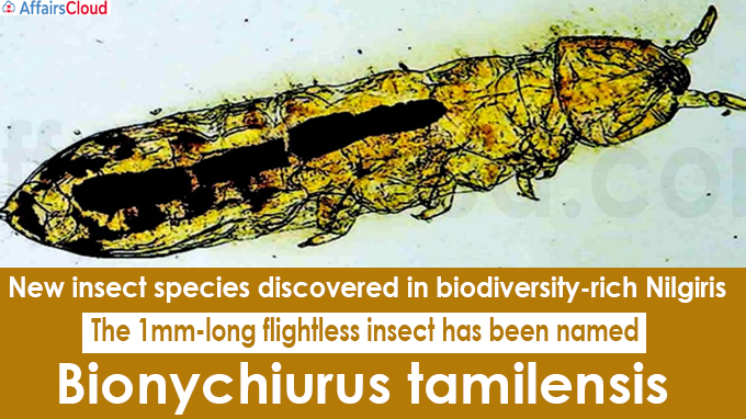 New insect species discovered in biodiversity-rich Nilgiris
