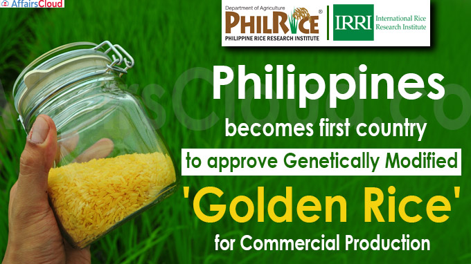 Philippines becomes first country to approve genetically modified 'golden rice'