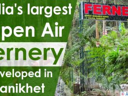 India's largest open air fernery developed in Ranikhet