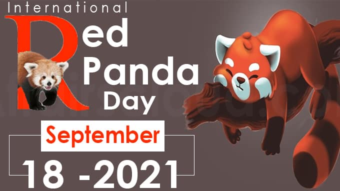 International Red Panda Day 2021 new