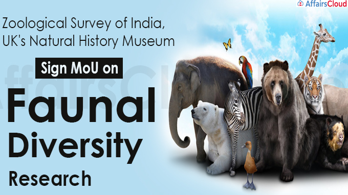 ZSI Signed MoU with Natural History Museum of UK
