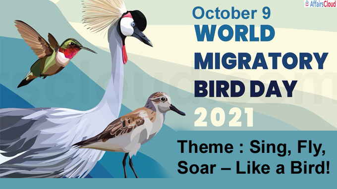 World Migratory bird copy