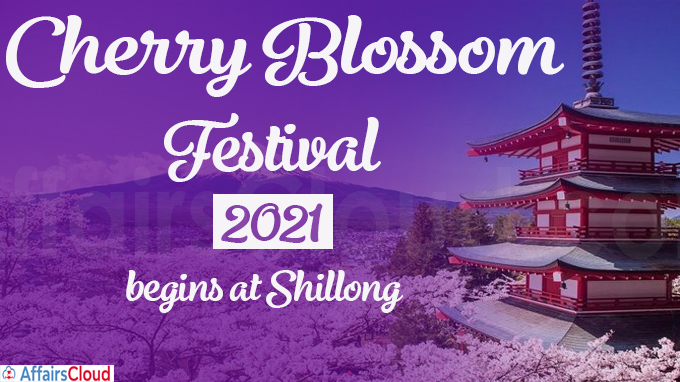 Cherry Blossom Festival 2021 begins at Shillong