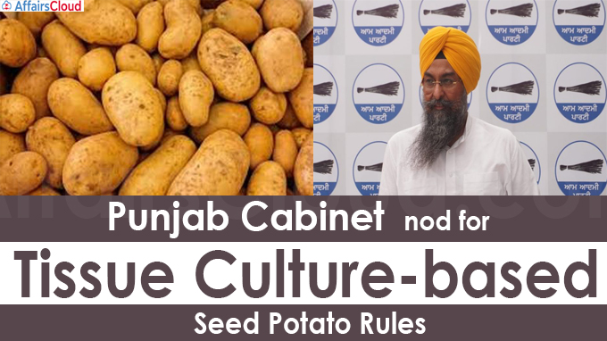 Punjab Cabinet nod for tissue culture-based seed potato rules