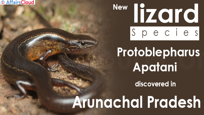 New lizard species discovered in Arunachal Pradesh