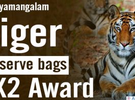 Sathyamangalam Tiger Reserve bags TX2 award