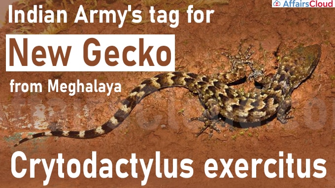 Army tag for new gecko from Meghalaya