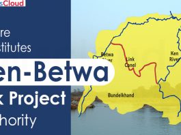 Centre constitutes Ken-Betwa link project authority