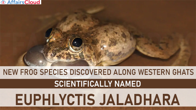 Researchers discover new frog species from western coastal plains