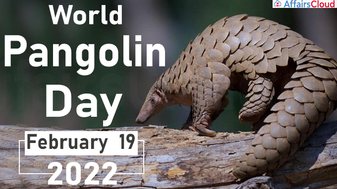 World Pangolin Day 2022