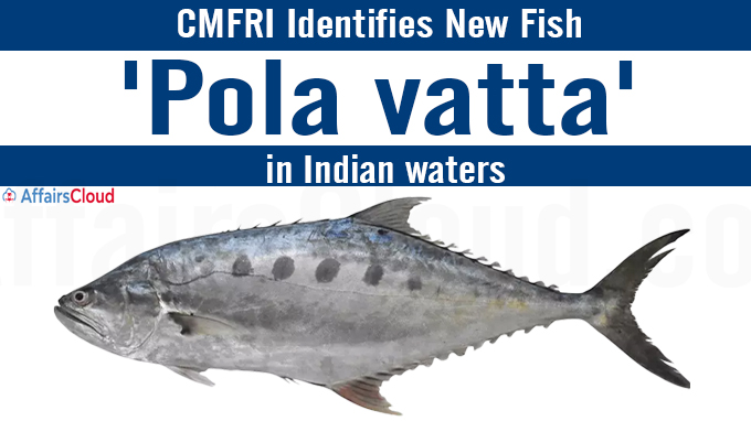 CMFRI identifies new fish in Indian waters