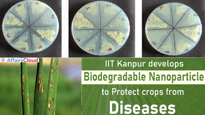 IIT Kanpur develops biodegradable nanoparticle to protect crops