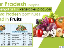 UP topples West Bengal as top vegetables producer