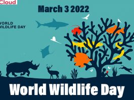 World-Wildlife-Day